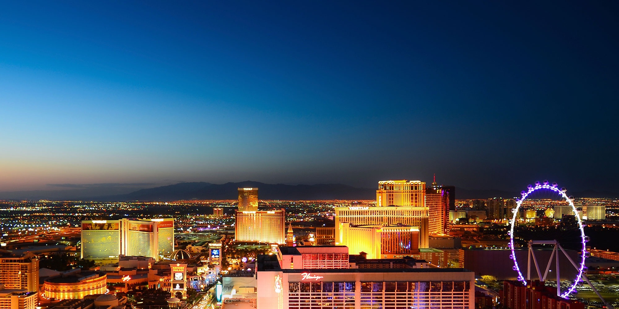 Joomla in a box meets vagrant